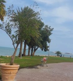 علي, 37 سنة, رجل