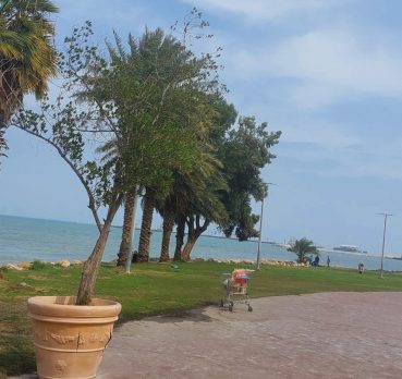 علي, 37 سنة, Al Farwaniyah, Kuwait