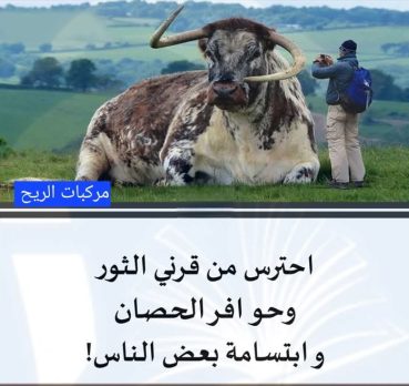 ممدوح هاشم, 36 سنة, Dammam, Saudi Arabia