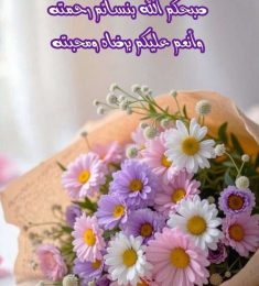 Hassan, 74 سنة, رجل