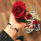 حالي عسل, 31 سنة, Sanaa, Yemen