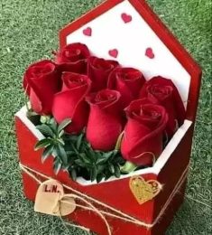 نياف, 28 سنة, رجل