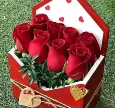 نياف, 28 سنة, Ha'il, Saudi Arabia