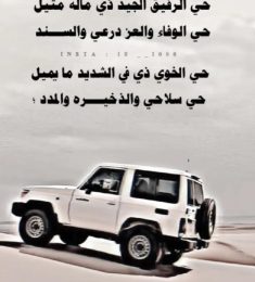 محمد محمد صادق رمضان, 27 سنة, رجل