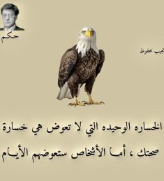 المتمرد الكامل, 24 سنة, رجل