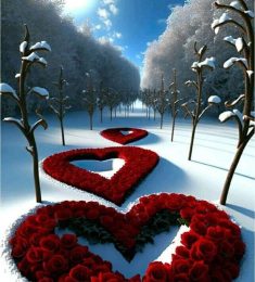 Ahmae Ahmae, 51 سنة, رجل