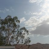 Saleh, 25 سنة, Al Bayda&rsquo;, Yemen