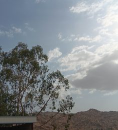 Saleh, 25 سنة, رجل