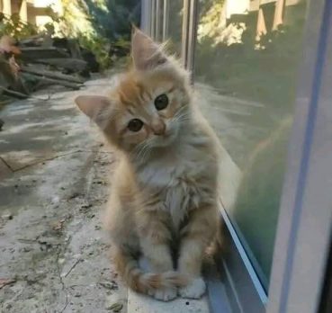 فهد, 36 سنة, Sharjah, United Arab Emirates