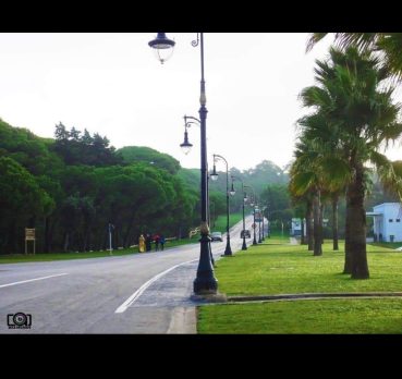 فيصل, 26 سنة, Riyadh, Saudi Arabia