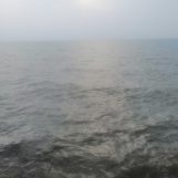 Tyhmsmli7, 38 سنة, Abu &lsquo;Arish, Saudi Arabia