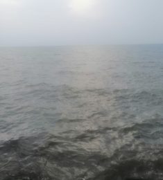 Tyhmsmli7, 38 سنة, رجل