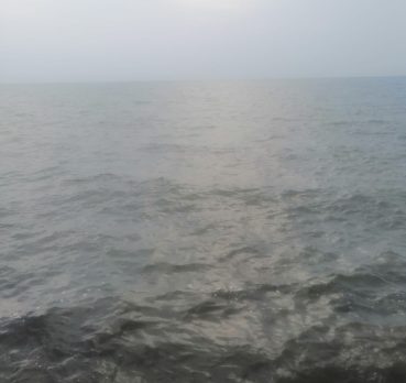 Tyhmsmli7, 38 سنة, Abu &lsquo;Arish, Saudi Arabia