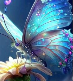 Ahmed, 40 سنة, رجل