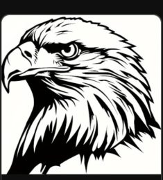 الصخرة, 40 سنة, رجل