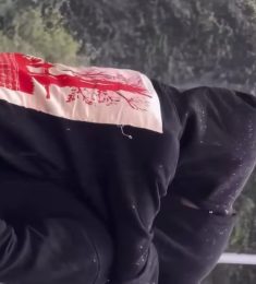 qwer, 31 سنة, رجل