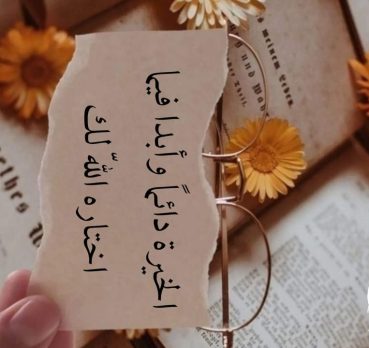 خالد, 35 سنة, Medina, Saudi Arabia