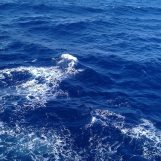 Ahmed, 30 سنة, Jizan, Saudi Arabia