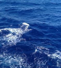 Ahmed, 30 سنة, رجل