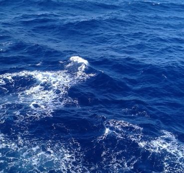 Ahmed, 30 سنة, Jizan, Saudi Arabia