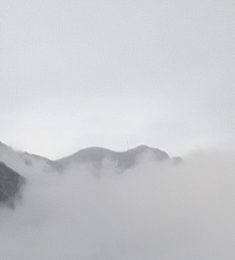 أسير الغربه, 41 سنة, رجل