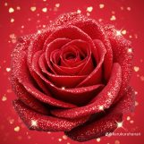 علي محمد, 20 سنة, Paghman, Afghanistan