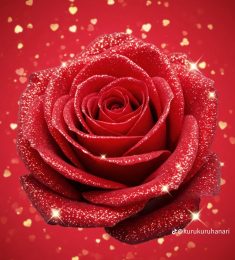 علي محمد, 20 سنة, رجل