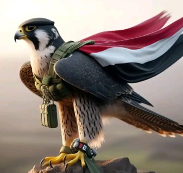 علاء الدين, 19 سنة, Albany, USA