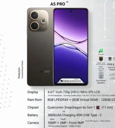 Kashi, 24 سنة, رجل