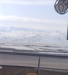 Rashed, 25 سنة, رجل